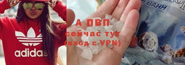 крисы Арсеньев