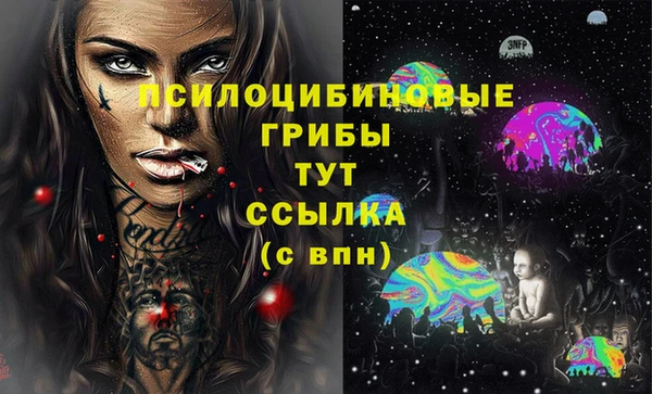крисы Арсеньев